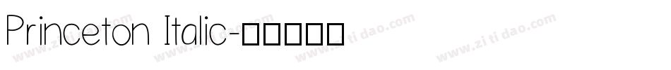 Princeton Italic字体转换